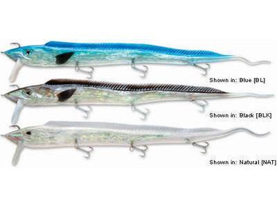 WILLIAMSON LIVE RIBBONFISH