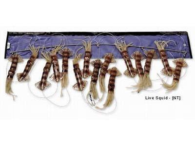 WILLIAMSON LIVE SQUID SPREADER BAR