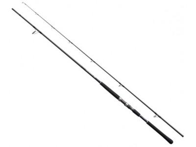 SHIMANO SALTY ADVANCE SHORE JIGGING