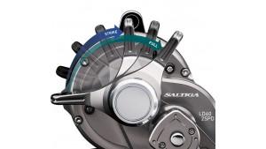 DAIWA 20 SALTIGA LD 2 SPEED